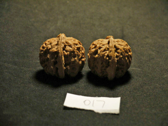 Walnuts, (White Lion), Matched Pair, Chinese Collection 2019-07-09T194733