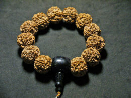 Wrist Mala, X-Large 6 Face Rudraksha 21mm, Glitter Guru Bead 03T155137