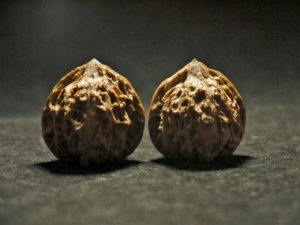 Walnuts, Matched, Chinese Collection, Fine/Petite (Dragon Egg) 2019-08-16T135330