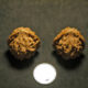 Walnuts, Matched Pair, Chinese Collection, Tear Drop 16T162814