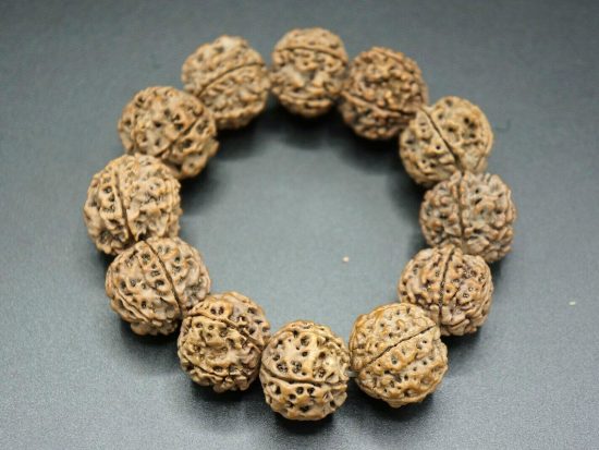 22mm Nepali 5 Mukhi Rudraksha Bracelet 1