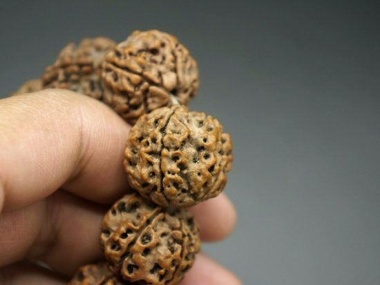 22mm Nepali 5 Mukhi Rudraksha Bracelet 2