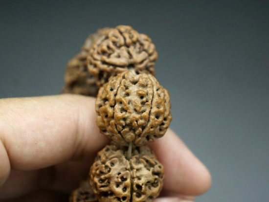 22mm Nepali 5 Mukhi Rudraksha Bracelet 3