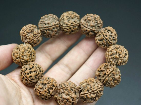 22mm Nepali 5 Mukhi Rudraksha Bracelet