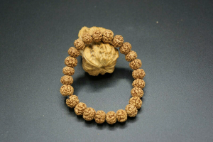 Unisex Yoga Elastic Bracelet 10mm Rudraksha Dragon Seed s-l1600