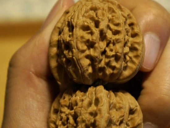 Walnuts Matched Pair Chinese Collection White Lion 40mm x 36mm 4
