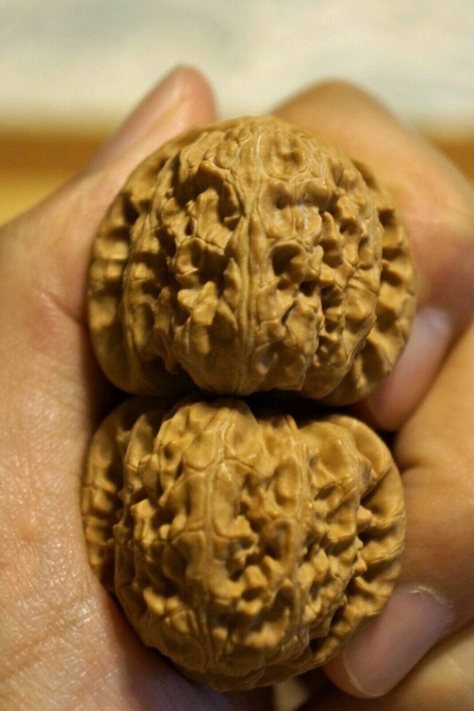 Walnut, Matched Pair, Chinese Collection (White Lion) 37mm x 32mm 4