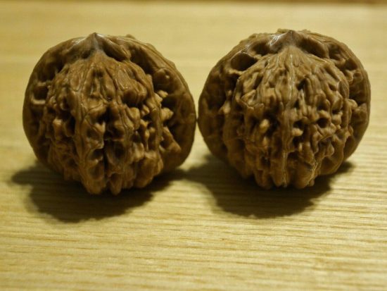 Walnut, Matched Pair, Chinese Collection (White Lion) 37mm x 37mm 1