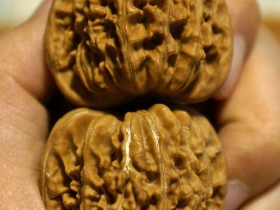 Walnut, Matched Pair, Chinese Collection (White Lion) 37mm x 37mm 3