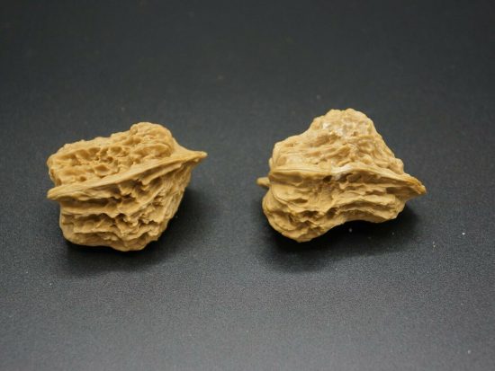 Walnut, Pair, Chinese Collection, Abnormal Shape 3