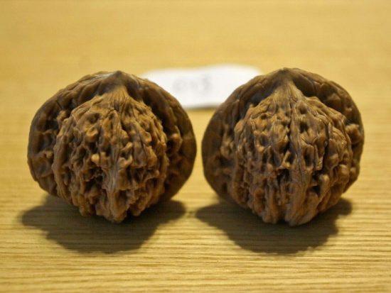 Walnut, Pair, Chinese Collection (White Lion) 013 1
