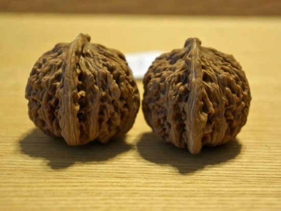 Walnut, Pair, Chinese Collection (White Lion) 013 2