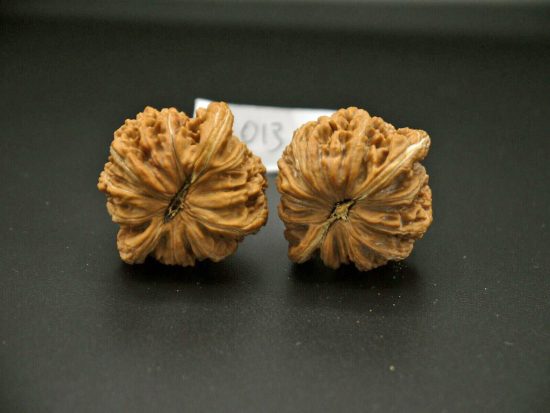 Walnut, Pair, Chinese Collection (White Lion) 013 5