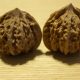 Walnut Pair Matched Chinese Collection 35mm x39.5mm 1