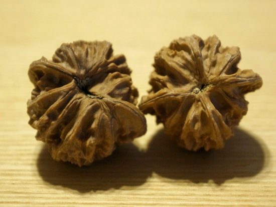 Walnut Pair Matched Chinese Collection 35mm x39.5mm 3
