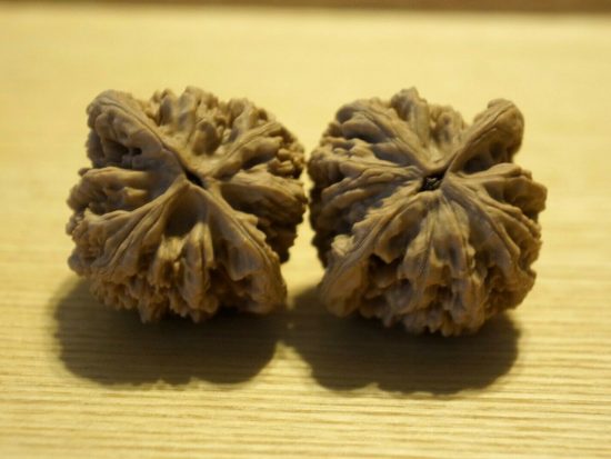 Walnuts Matched Chinese Walnuts White Lion Flat Head 3