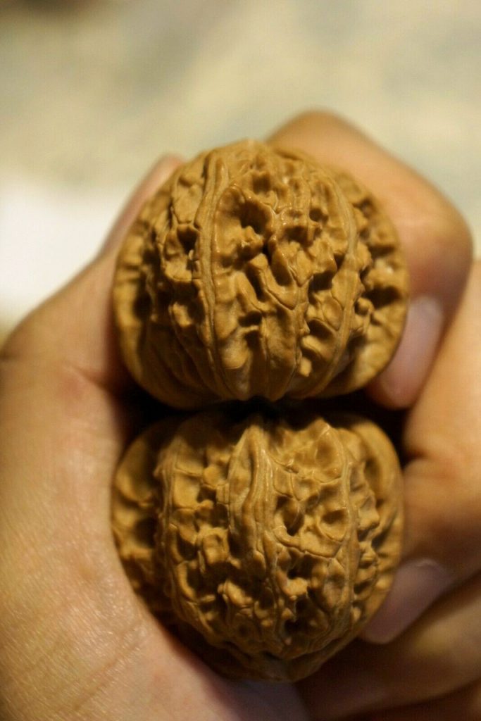 Walnuts, Matched Pair, Chinese Collection (White Lion Fine) 40mm x 35mm 3