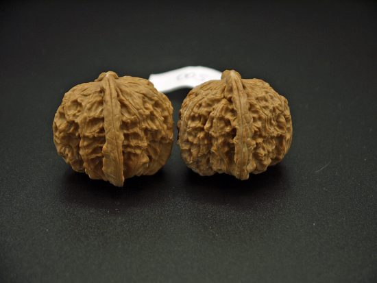 Walnuts, Matched Pair, Chinese Collection (White Lion) 39mm x 33mm 2