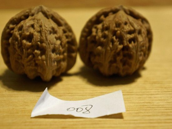 Walnuts, Matched Pair, Chinese Collection 39mm x 34mm 1