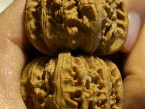 Walnuts, Matched Pair, Chinese Collection 39mm x 34mm 4