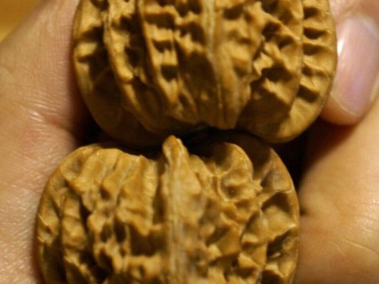 Walnuts, Matched Pair, Chinese Collection (Tall Pointy) 34mm x 36mm 3