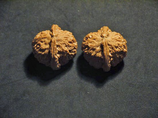 Walnuts Small Matched Pair White Lion 35mm x 31mm 1