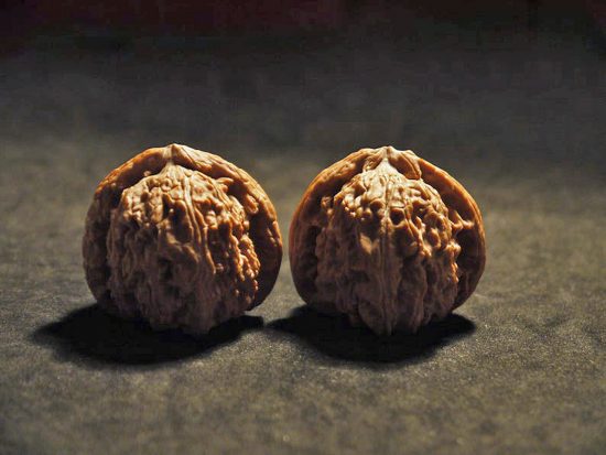 Walnuts Small Matched Pair White Lion 35mm x 31mm 2
