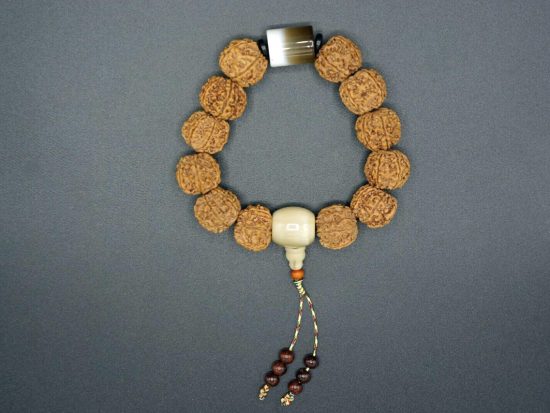 Wrist Mala, The Coffee Bracelet, Six Face 19mm Rudrakshas, Nepal Tibet Cylindrical Agate Bead 2