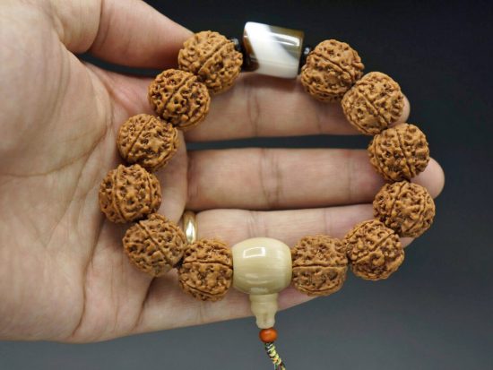 Wrist Mala, The Coffee Bracelet, Six Face 19mm Rudrakshas, Nepal Tibet Cylindrical Agate Bead 3
