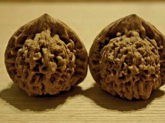 walnuts-matched-pair-chinese-collection-tall-45mm-x-41mm-45mm-2