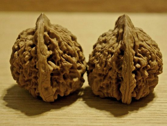 walnuts-matched-pair-chinese-collection-tall-45mm-x-41mm-45mm-3