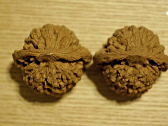 walnuts-matched-pair-chinese-collection-tall-45mm-x-41mm-45mm-5