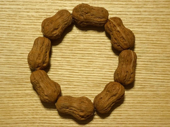 Peanut Shaped Walnut Bracelet 01