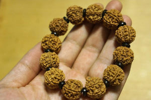 Six Face 19mm Rudrakshas, Coconut Shell Spacers 01