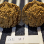 Walnuts, Matched Pair, Chinese Collection, Lucky Walnut (Ghost Eye#1) 36mm x 36mm 01