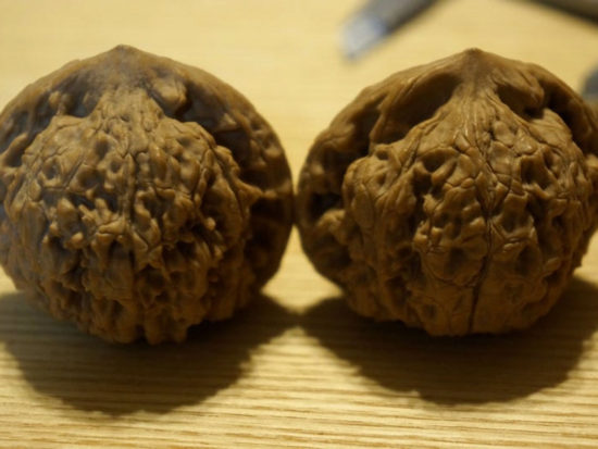 Walnuts, Matched Pair, Scholars Hat 46mm x 39mm 01