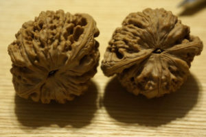 Walnuts, Matched Pair, Scholars Hat 46mm x 39mm 05