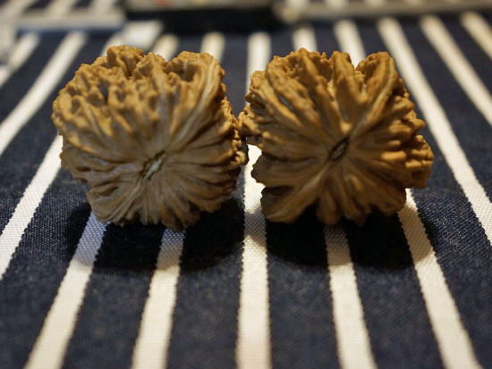 Walnuts, Pair of Matched, X-Large. Chinese Collection 43mm x 40mm 03