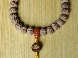Hand Held Mala, 12mm Dragon Rudraksha, Ancient Chinese Coin 08