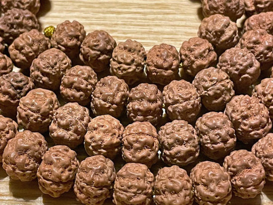 108 Mini Double Dragon Rudraksha Seeds 10mm Little Meatballs 3