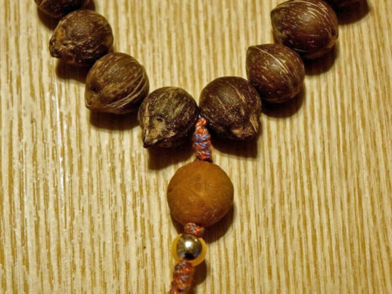 Hand Held Mala, Coconut Bodhi Beads, Unique Agate 5