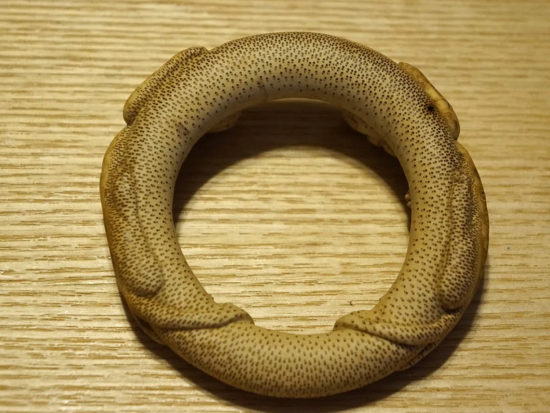 Solid Bamboo, Carved Chi Dragon Bangle 3