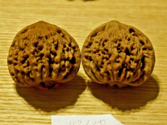 Walnuts, Matched Pair, Chinese Collection (Scholar's Hat) 43mm x 38mm