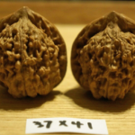 Walnuts, Matched Pair, Chinese Collection 39mm x 41mm