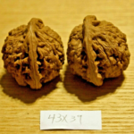 Walnuts, Matched Pair, Chinese Collection (Scholar's Hat) 43mm x 39mm