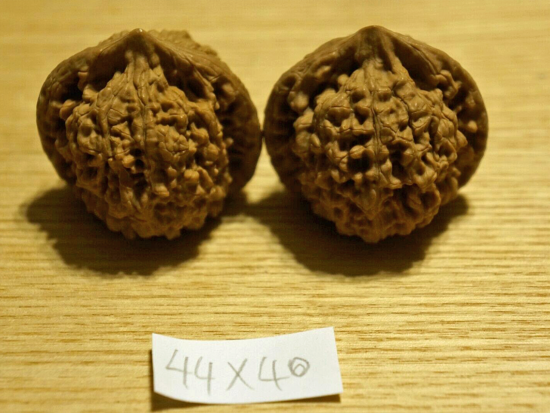 Walnuts, Matched Pair, Chinese Collection (Scholar's Hat) 44mm x 40mm