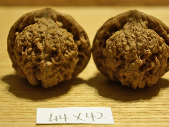 Walnuts, Matched Pair, Chinese Collection (Scholar's Hat) 44mmx42mm