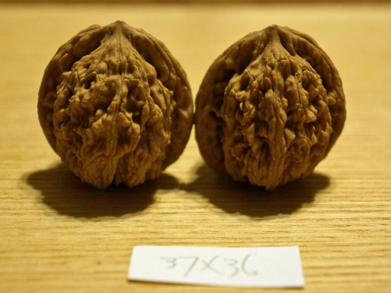 Walnuts, Matched Pair, Chinese Collection (Tall) 37mm x 36mm
