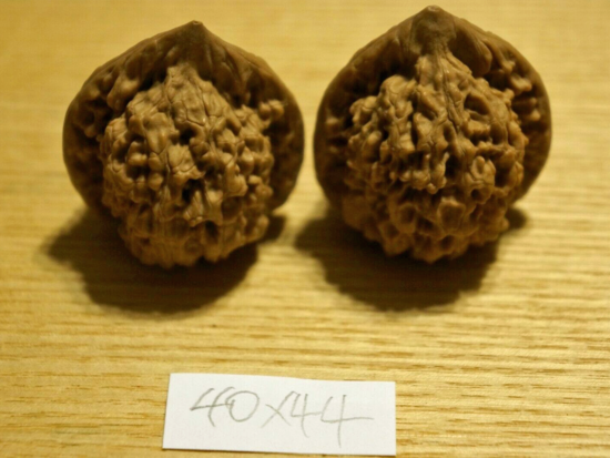 Walnuts, Matched Pair, Chinese Collection (Tall) 40mm x 44mm