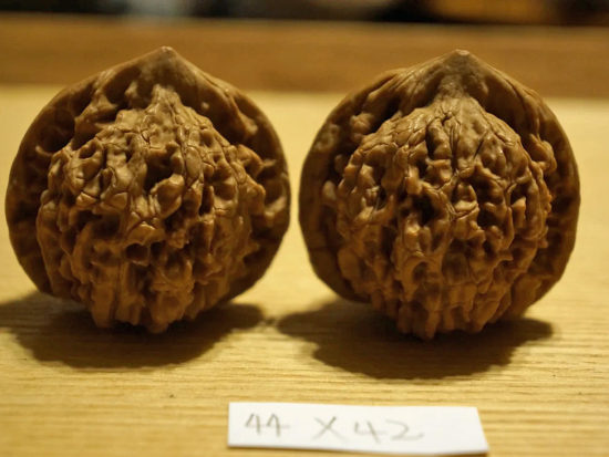 Walnuts, Matched Pair, Chinese Feng Shui Lucky 44mm x 42mm
